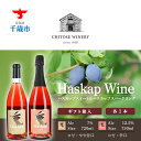 【ふるさと納税】 千歳ワイナリー ハスカップスイート720ml×1本&ハスカップスパークリング750ml×1本<ギフト箱入> お酒 ワイン お酒 ワインセット【北海道千歳市】ギフト ふるさと納税 クリスマス