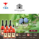 【ふるさと納税】 千歳ワイナリー ハスカップスイート720ml×3本&ハスカップスパークリング750ml×3本 お酒 ワイン シャンパン スパークリングワイン ワインセット【北海道千歳市】ギフト ふるさと納税 クリスマス