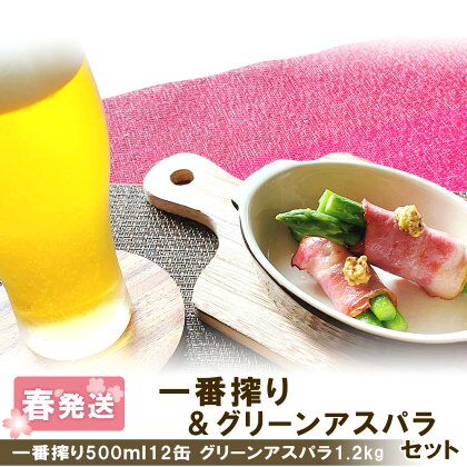 2024年春発送 キリン一番搾り 500ml12缶＆グリーンアスパラ1.2kg 北海道千歳産 野菜 ビール アスパラガス アスパラ 2024年5月中旬〜6月中旬にかけて順次発送 北海道ふるさと納税 千歳市 ふるさと納税【北海道千歳市】ギフト 麒麟 KIRIN