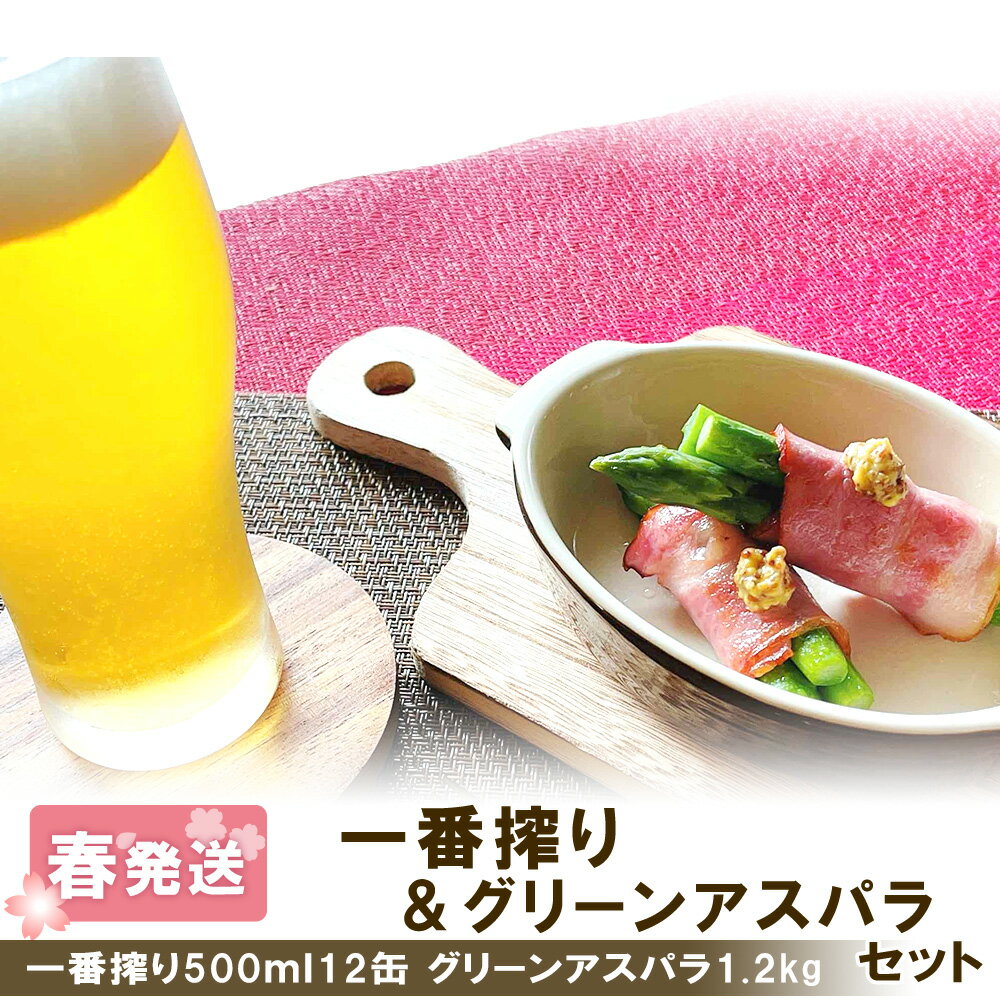 2024年春発送 キリンラガービール 500ml12缶＆グリーンアスパラ1.2kg 北海道千歳産 野菜 ビール アスパラガス アスパラ 2024年5月中旬〜6月中旬にかけて順次発送 北海道ふるさと納税 千歳市 ふるさと納税【北海道千歳市】ギフト 麒麟 KIRIN