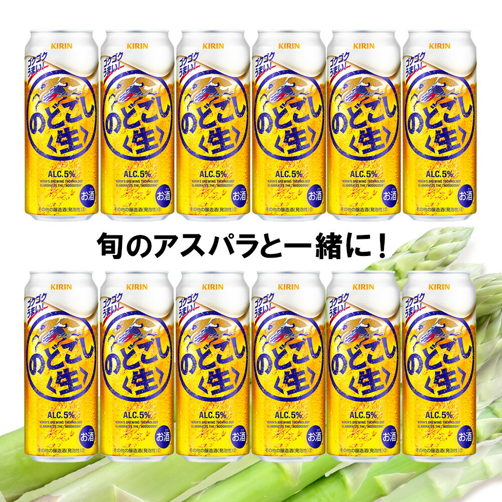 【ふるさと納税】 2026年春発送 キリンのどごし生 500ml12缶＆グリーンアスパラ1kg 北海道千歳産 野菜 ビール アスパラガス アスパラ 5月中旬〜6月中旬にかけて順次発送 北海道ふるさと納税 千歳市 ふるさと納税【北海道千歳市】ギフト 麒麟 KIRIN