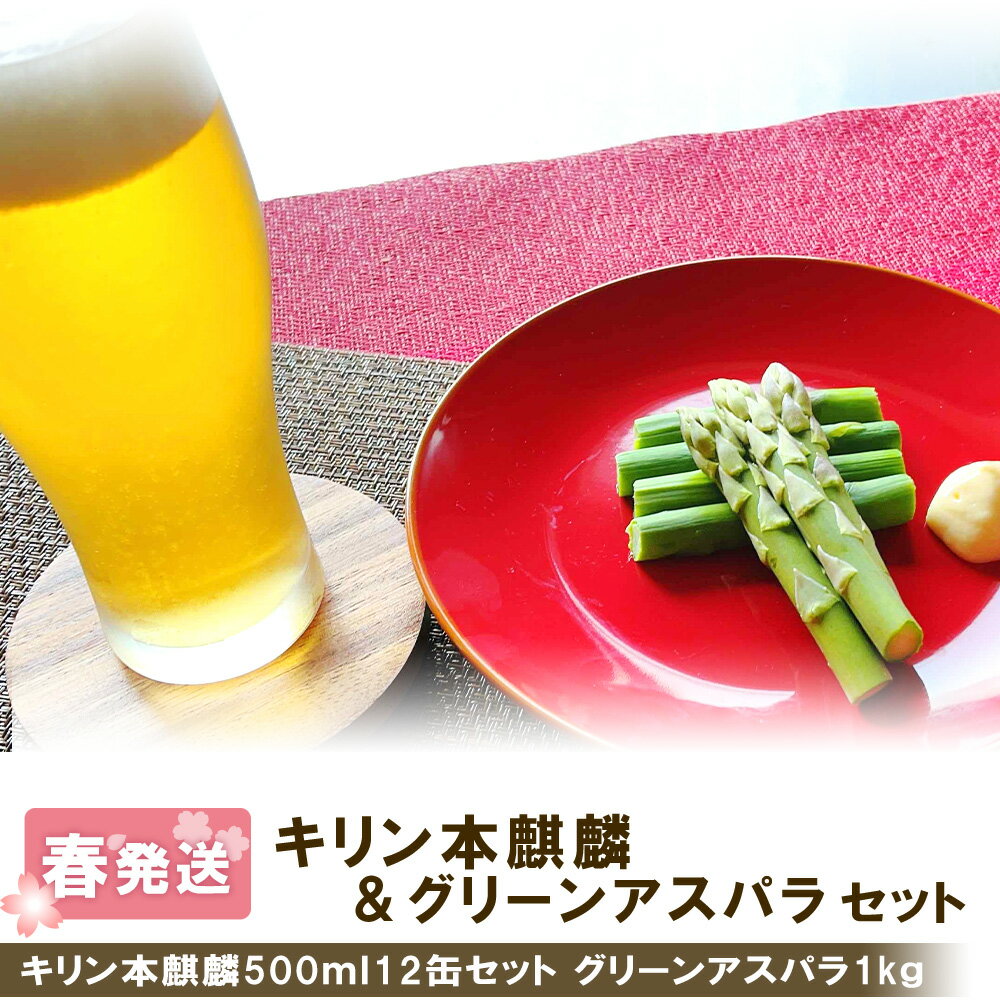 2024年春発送 キリン本麒麟 500ml12缶＆グリーンアスパラ1kg 北海道千歳産 野菜 ビール アスパラガス アスパラ 2024年5月中旬〜6月中旬にかけて順次発送 北海道ふるさと納税 千歳市 ふるさと納税【北海道千歳市】ギフト ふるさと納税 KIRIN