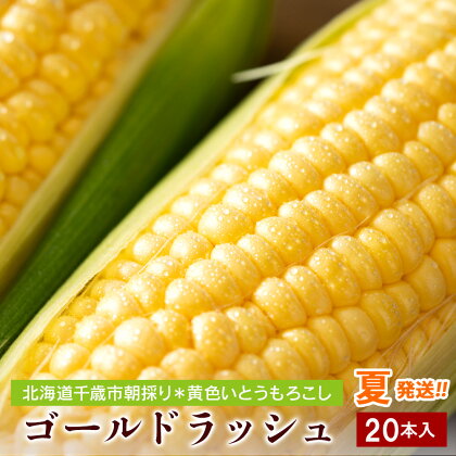 2024年夏発送 とうもろこし ゴールドラッシュ L〜2L 20本 北海道千歳産 野菜 とうもろこし【北海道千歳市】ギフト ふるさと納税