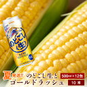 【ふるさと納税】2024年夏発送 キリンのどごし生500ml 12缶＆黄色いとうもろこしゴールドラッ ...