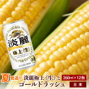 【ふるさと納税】2024年夏発送 キリン淡麗極上(生) 350ml 12缶＆黄色いとうもろこしゴールドラッシュ8本 北海道千歳産 野菜 とうもろこし とうきび キリンビール 麒麟ビール ビール 【北海道千歳市】ギフト ふるさと納税 麒麟 KIRIN