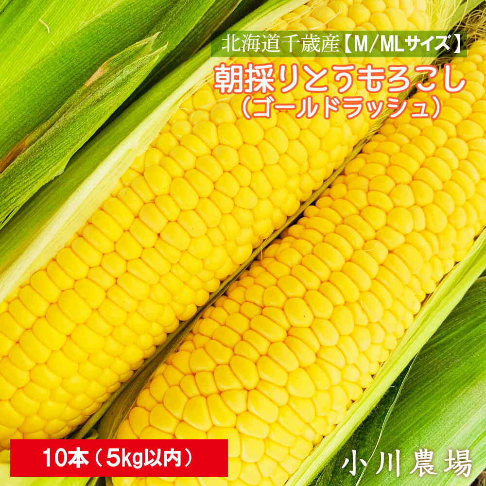 名称とうもろこし内容量朝採りとうもろこし　10本（M/MLサイズ・5kg以内）消費期限生鮮食品につきなるべくお早めにお召し上がりください産地北海道千歳市配送方法冷蔵配送お届け時期2024年8月初旬〜9月中旬備考※画像はイメージです。※品質保持のため、離島へのお届けはできかねます。ご了承くださいませ。 ・ふるさと納税よくある質問はこちら ・寄附申込みのキャンセル、返礼品の変更・返品はできません。あらかじめご了承ください。 ふるさと納税楽天市場ふるさと納税北海道ふるさと納税納税ふるさと納税お祝いふるさと納税ギフトふるさと納税人気ランキングお試し食品グルメお取り寄せグルメ訳あり訳アリ父の日父の日ギフト父の日プレゼントお父さん母の日母の日ギフト母の日プレゼントお母さん敬老の日おじいちゃん祖父おばあちゃん祖母御中元お中元中元お歳暮御歳暮歳暮クリスマス残暑御見舞残暑見舞いギフトプレゼント贈り物お見舞い退院祝い全快祝い快気祝い快気内祝い結婚式結婚祝いご結婚御祝結婚内祝い引き出物引出物引越しご挨拶引っ越し出産祝い出産内祝い合格祝い合格内祝い進学祝い進学内祝い入学祝い入学内祝い小学校入学祝い小学校入学内祝い中学校入学祝い中学校入学内祝い高校入学祝い高校入学内祝い大学入学祝い大学入学内祝い幼稚園入園内祝い卒業記念品卒業祝い新築祝新築内祝い金婚式お祝いお供え法事供養バースデーバースデイバースディ七五三祝い【ふるさと納税】 2024年発送予約☆北海道千歳産【M/MLサイズ】朝採りとうもろこし（ゴールドラッシュ）10本 5kg以内【小川農場】【北海道千歳市】 〜2024年発送予約☆北海道千歳産【M/MLサイズ】朝採りとうもろこし（ゴールドラッシュ）〜 千歳市で3代続く農家を営んでおり、先代が古くから畑を耕し 有機肥料を使い続けてくれている土で野菜作りをしています。 朝晩の寒暖差が大きい千歳市 支笏湖の伏流水である美味しい水を使い、1本1本丁寧に育てています。 受粉不足などで先端まで実が入らないもの、重量が足りずサイズが小さいものとなってしまったものです。 味は全く問題ありません。 ご家庭用でたっぷり食べたい方、ご理解いただけます方にご購入をお願いいたします。 朝採りのゴールドラッシュは上品な甘さで皮がとても柔らかく生でも食べられる美味しい品種です。 生でも茹でても電子レンジでも美味しくお召し上がりいただけます。 2023年収穫のとうもろこしは糖度が20度以上となりました。 ミシュラン掲載フレンチや老舗カフェにも使用されています。 今年も美味しい北海道のとうもろこしをお届けいたします。 ※品質保持のため、離島へのお届けはできかねます。ご了承くださいませ。 ◆お礼の品・配送に関するお問合せ先◆ 千歳市ふるさと納税コールセンター　株式会社スプレス（TEL：011-807-7753 平日9：00〜17：30） 寄附金の用途について 受領証明書及びワンストップ特例申請書のお届けについて 入金確認後、注文内容確認画面の【注文者情報】に記載の住所にお送りいたします。発送の時期は、入金確認後2〜3週間程度を目途に、お礼の特産品とは別にお送りいたします。