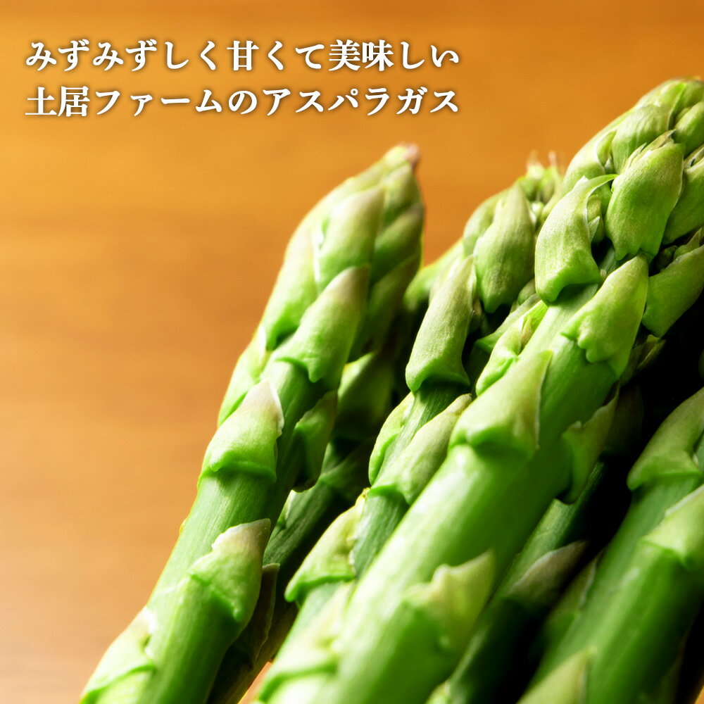 【ふるさと納税】2026年春発送 アスパラ1kgと野菜 おまかせ 詰め合わせセット【土居ファーム】 野菜 アスパラ アスパラガス グリーンアスパラ レタス キャベツ カブ ハーブ セット【北海道千歳市】ギフト ふるさと納税