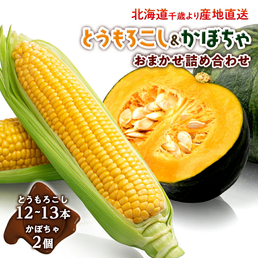 2024年夏発送 とうもろこし&かぼちゃ おまかせ 詰め合わせセット[土居ファーム]野菜 とうもろこし かぼちゃ 南瓜 セット 野菜 詰め合わせ[北海道千歳市]ギフト ふるさと納税