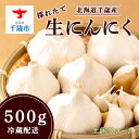 【ふるさと納税】とれたて生にんにく500g 【土居ファーム】北海道 千歳 大蒜 にんにく ニンニク 北海道産 生ニンニク 野菜 北海道ふるさと納税 千歳市 ふるさと納税【北海道千歳市】ギフト ふるさと納税