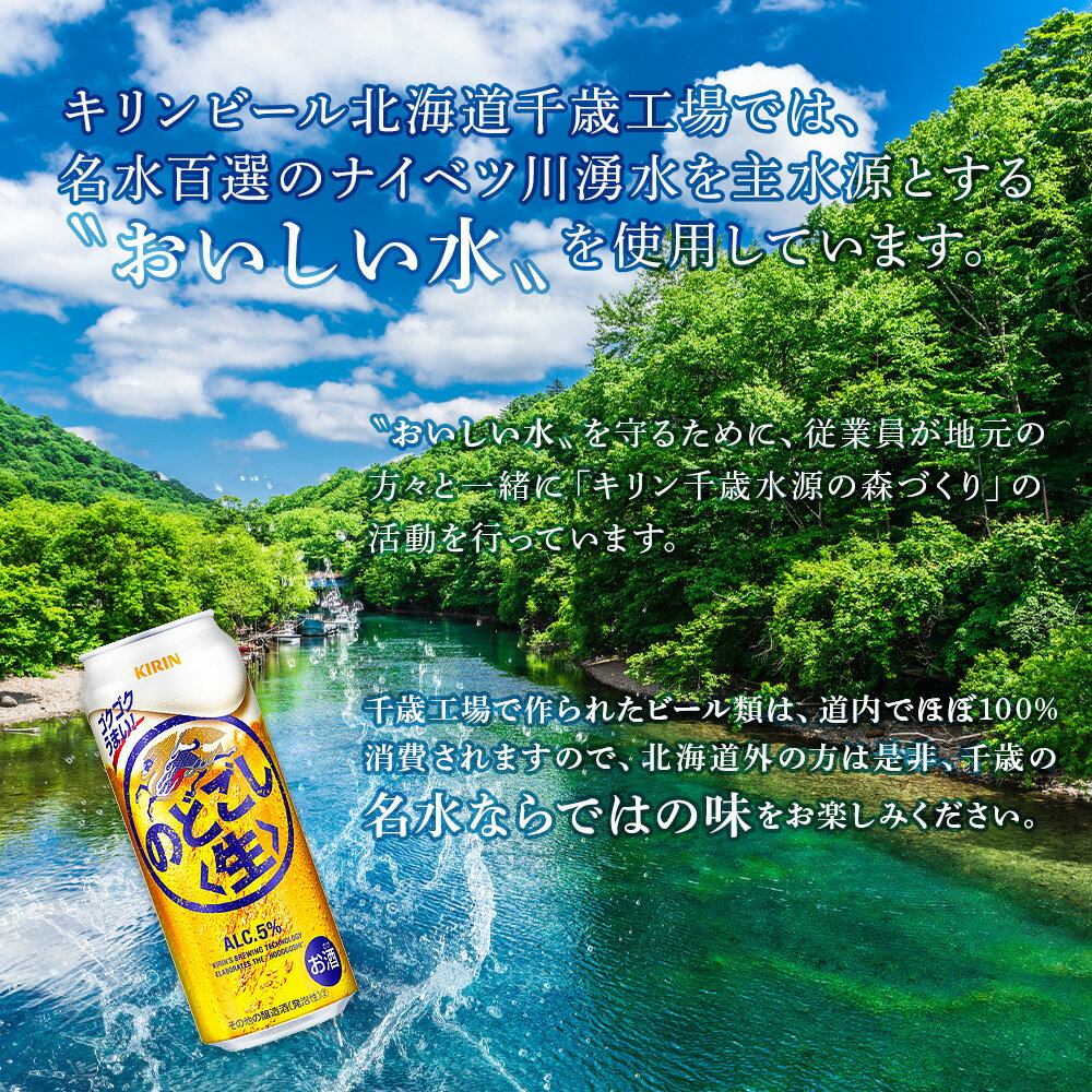 【ふるさと納税】 定期便 6ヶ月連続キリンのどごし＜生＞ ＜北海道千歳工場産＞500ml（24本）北海道ふるさと納税 ビール お酒 ケース ビールふるさと納税 北海道 ギフト 内祝い お歳暮 酒【北海道千歳市】のどごし生 お楽しみ 麒麟 KIRIN