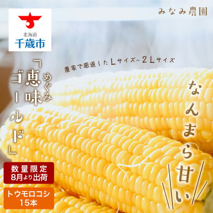 なんまら甘くて食べやすい！2024年8月より出荷！「恵味ゴールド」15本セット恵味 ゴールド とうもろこし トウキビ 野菜 北海道 千歳 北海道ふるさと納税 千歳市 ふるさと納税【北海道千歳市】ギフト ふるさと納税