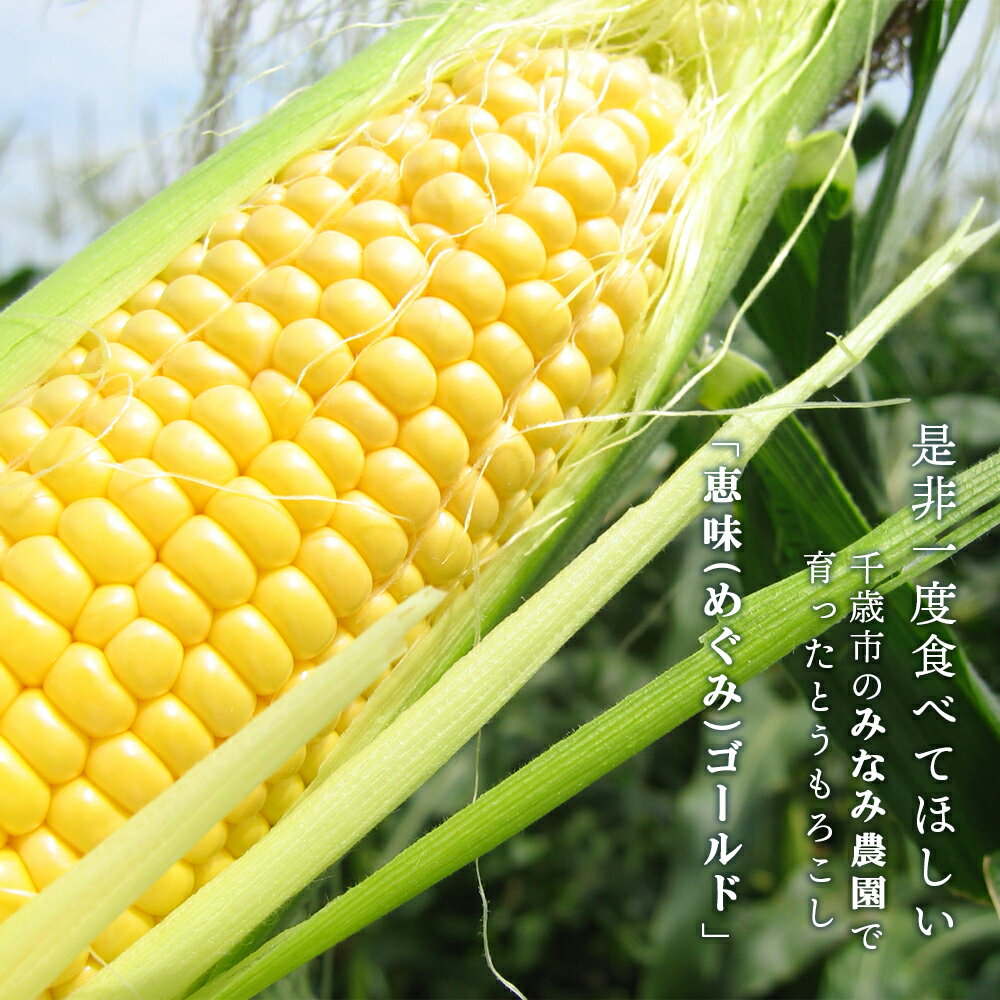 【ふるさと納税】なんまら甘くて食べやすい！2025年8月より出荷！「恵味ゴールド」15本セット恵味 ゴールド とうもろこし トウキビ 野菜 北海道 千歳 北海道ふるさと納税 千歳市 ふるさと納税【北海道千歳市】ギフト ふるさと納税