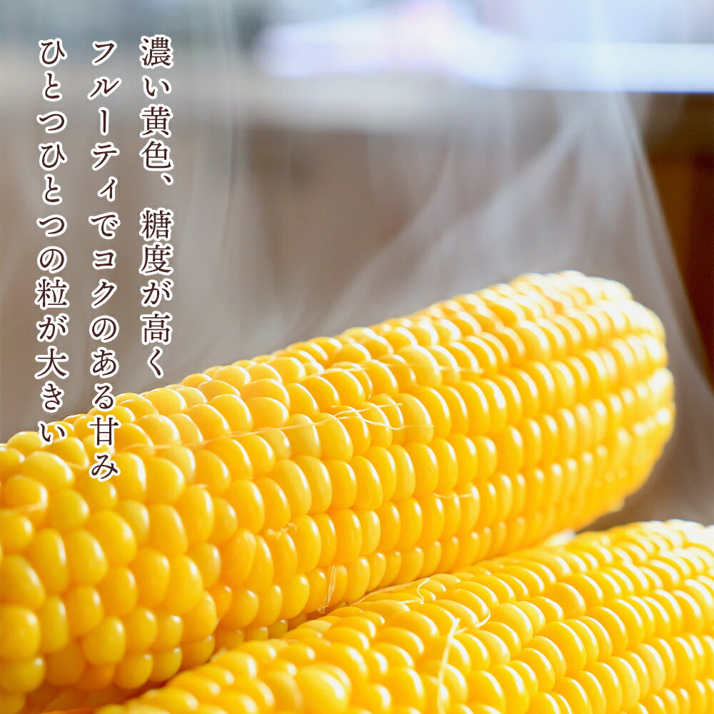 【ふるさと納税】なんまら甘くて食べやすい！2025年8月より出荷！「恵味ゴールド」15本セット恵味 ゴールド とうもろこし トウキビ 野菜 北海道 千歳 北海道ふるさと納税 千歳市 ふるさと納税【北海道千歳市】ギフト ふるさと納税