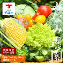 【ふるさと納税】色々楽しめる!2025年8月より順次出荷!「恵味ゴールド」5本と夏野菜セット恵味 ゴールド とうもろこし トウキビ 野菜 北海道 千歳 夏野菜 ...