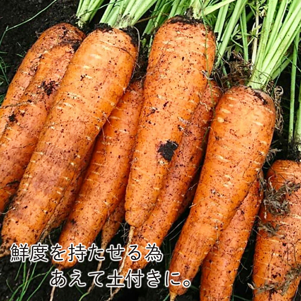 【ふるさと納税】【2026年9月末より発送】栽培期間農薬不使用有機かぼちゃ・減農薬栽培土付きニンジンセット【かねこ農園】北海道ふるさと納税 野菜 南瓜 有機栽培 有機野菜 人参 JAS認定圃場 北海道 【北海道千歳市】