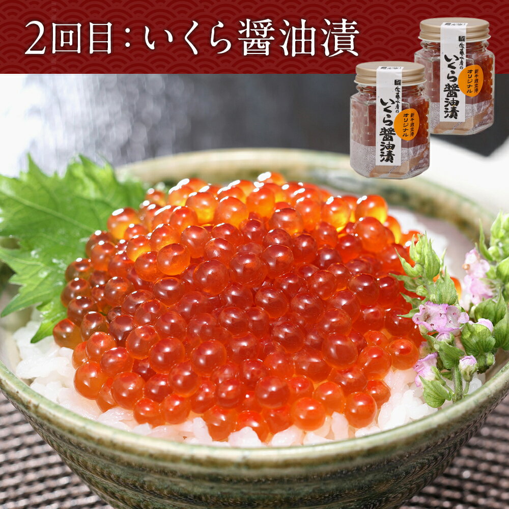 【ふるさと納税】＜佐藤水産＞【全4回】佐藤水産づくし頒布会【毎月1回お届け！】定期便 鮭 サケ ルイべ いくら 筋子 すじこ 数の子 松前漬け 魚卵 いか 塩辛 いくらしょうゆ漬け いくら醤油漬 イクラ 加工品 惣菜【北海道千歳市】ギフト ふるさと納税