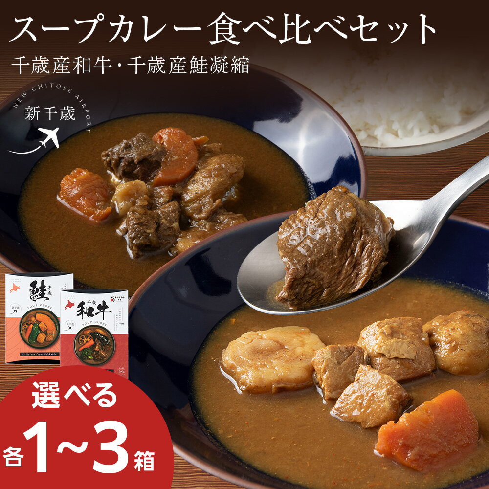 [食べ比べ] 千歳産和牛の和風スープカレー×千歳産鮭凝縮のスープカレー(各260g) 選べる計2〜6箱スープカレー ご当地 グルメ ソウルフード レトルト レンジ調理 惣菜 カレー 北海道ふるさと納税 千歳市 [北海道千歳市]ギフト ふるさと納税