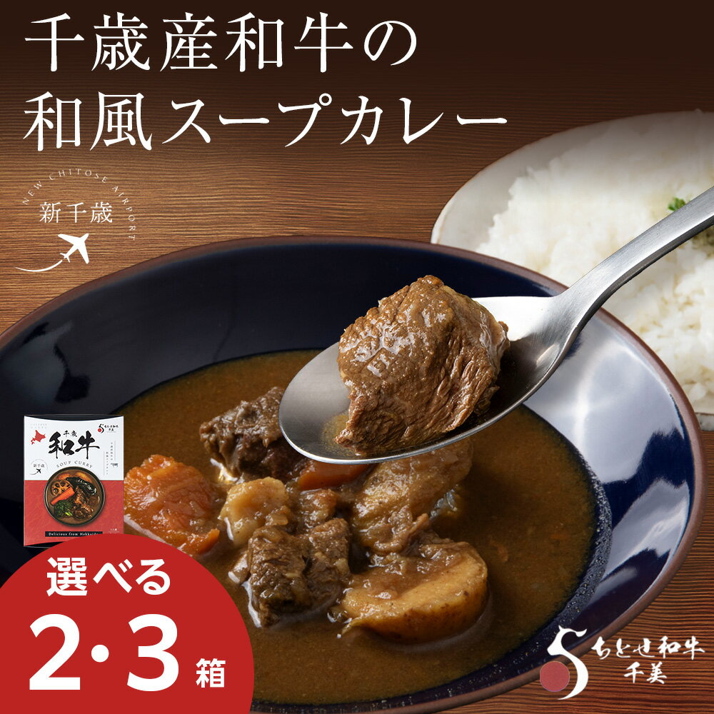 千歳産和牛の和風スープカレー(1箱260g) 選べる2〜3箱スープカレー ご当地 グルメ ソウルフード レトルト レンジ調理 惣菜 カレー 北海道ふるさと納税 千歳市 [北海道千歳市]ギフト ふるさと納税