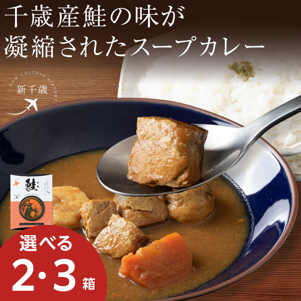 千歳産鮭凝縮のスープカレー(1箱260g) 選べる2〜3箱スープカレー ご当地 グルメ ソウルフード レトルト レンジ調理 惣菜 カレー 北海道ふるさと納税 千歳市 [北海道千歳市]ギフト ふるさと納税