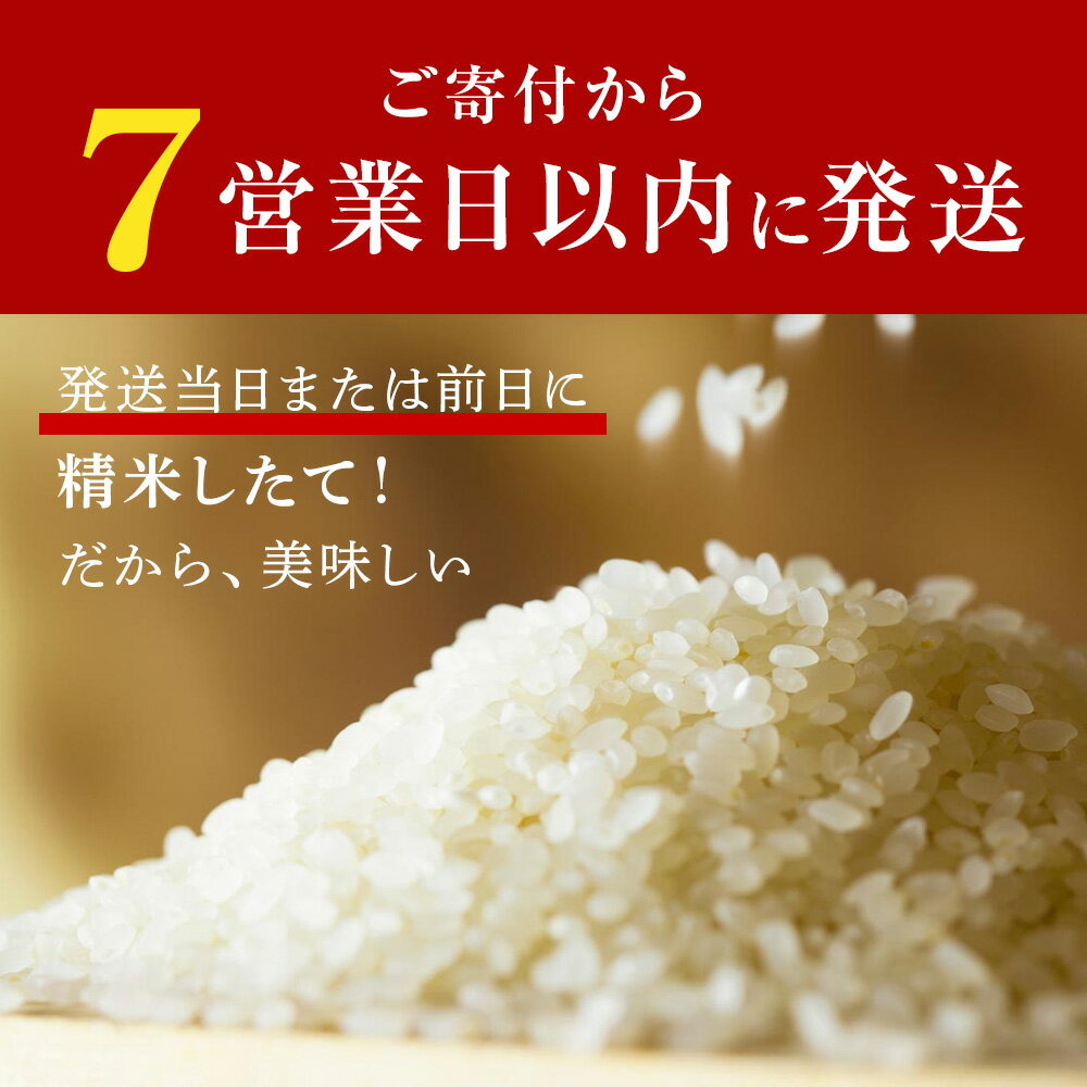 【ふるさと納税】北海道産ゆめぴりか 選べる5kg～10kg 1袋5kg 10kgから真空パック対応米 お米 北海道産米 ゆめぴりか 真空パック 米 北海道米 北海道産 北海道千歳市ギフト ふるさと納税