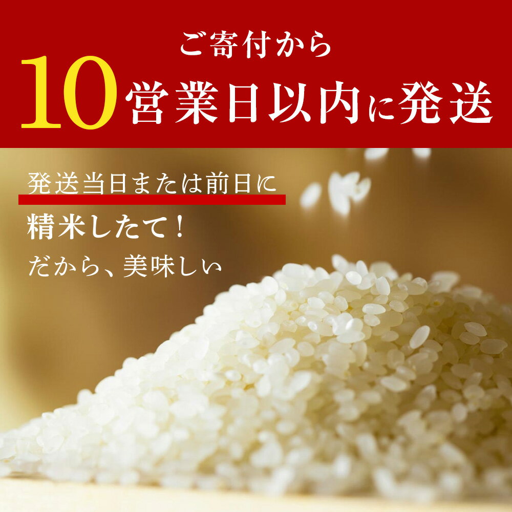 【ふるさと納税】北海道産ゆきさやか 選べる5kg (通常パック5kg×1袋)～10kg (通常パック5kg×1袋、真空パック5kg×1袋)米 お米 北海道産米 ゆきさやか 真空パック 米 北海道米 北海道産 北海道千歳市ギフト ふるさと納税