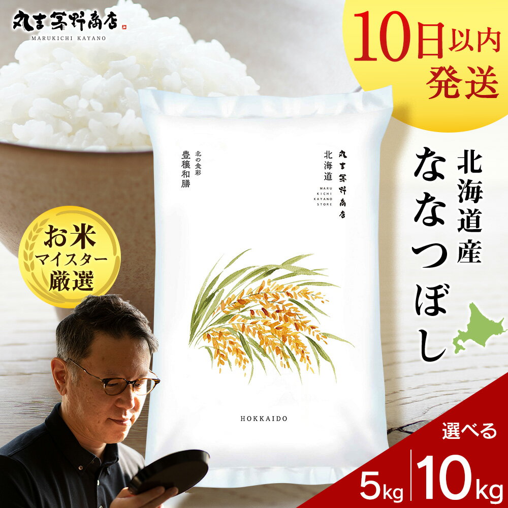 【ふるさと納税】北海道産ななつぼし 選べる5kg～10kg 1袋5kg 10kgから真空パック対応特A 米 お米 北...