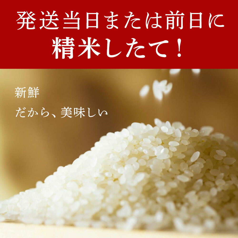 【ふるさと納税】【選べる定期便】北海道産ななつぼし 選べる5kg～10kg 1袋5kg 10kgから真空パック対応特A 米 お米 北海道産米 ななつぼし 真空パック 米 北海道米 北海道産 北海道千歳市ギフト ふるさと納税