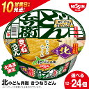 【ふるさと納税】 日清 北のどん兵衛 きつねうどん 北海道仕様 選べる12個・24個 うどん インスタントうどん 即席麺 麺類 カップ麺 カップうどん インスタント 麺類 【北海道千歳市】ギフト ふるさと納税