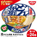 【ふるさと納税】 日清 北のどん兵衛 天ぷらうどん 北海道仕様 選べる12個・24個 うどん インスタントラーメン麺 即席麺 麺類 ラーメン カップ麺 インスタント 麺類 カップラーメン 【北海道千歳市】ギフト ふるさと納税