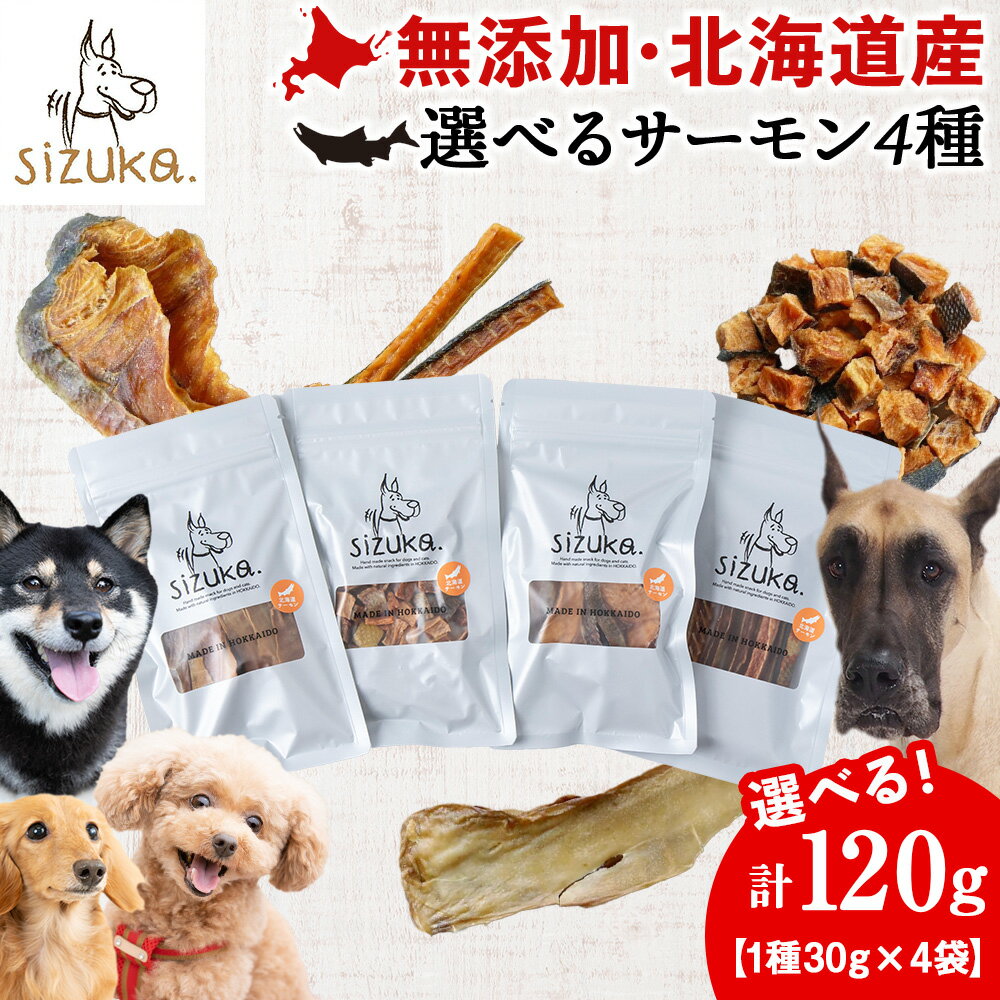 選べるサーモン4種 計120g(1種30g×4袋)鮭 サーモン ドッグフード ペット おやつ ジャーキー スライス スティック ひとくち 無添加 北海道ふるさと納税 ふるさと納税 北海道 千歳市[北海道千歳市]ギフト ふるさと納税