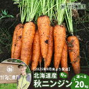 【ふるさと納税】【2025年9月末より発送】北海道産 旬の秋ニンジン 選べる5kg〜20kg 【かねこ農園】北海道ふるさと納税 人参 野菜 にんじん 秋人参 北...