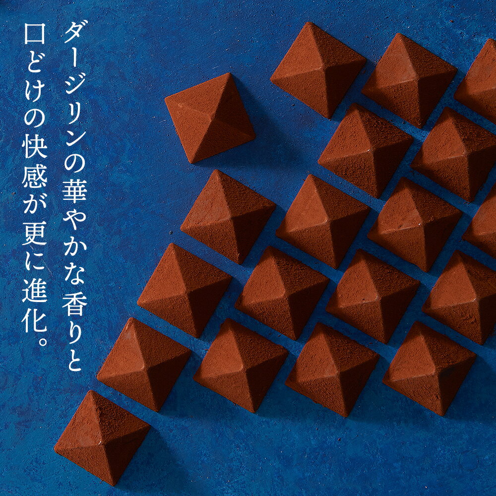 【ふるさと納税】チョコレート ロイヤルモンターニュ 選べる1・3箱 1箱9個入り スイーツ ギフト【ルタオ】ダージリン 千歳市 ふるさと納税【北海道千歳市】お中元 北海道 ギフト プレゼント チョコレート カカオ バレンタイン