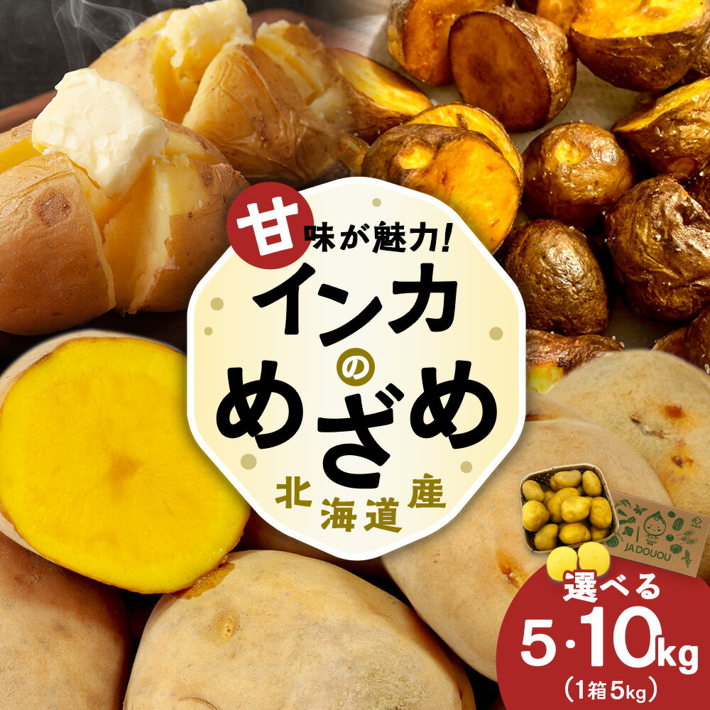 【ふるさと納税】インカのめざめ 馬鈴薯 インカ 選べる5kg～10kg 1箱5kg 野菜 じゃがいも インカのめざめ 一口サイズ ジャガイモ 北海道ふるさと納税 千歳市 ふるさと納税【北海道千歳市】ギフト ふるさと納税のサムネイル