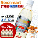 【ふるさと納税】【選べる定期便】セコマ ガラナ 強炭酸水 500ml 24本 1ケース 北海道 千歳製造 飲料 炭酸 ペットボトルソフトドリンク 炭酸水 セコマ 飲料類 炭酸飲料【北海道千歳市】ギフト ふるさと納税