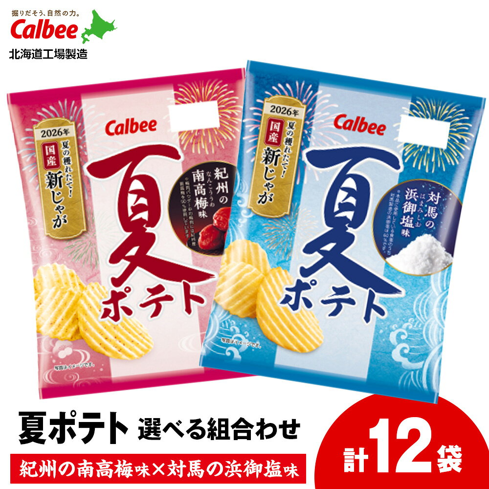 夏ポテト 紀州の南高梅味1箱・対馬の浜御塩味1箱・食べ比べ2種セット（各6袋） スナック お菓子 北海道 千歳 ポテチ ポテトチップス じゃがいも感 スナック菓子 じゃがいも 北海道ふるさと納税 千歳市 ふるさと納税【北海道千歳市】ギフト ふるさと納税