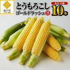 【ふるさと納税】【令和6年予約】とうもろこし　ゴールドラッシュ　Mサイズ10本｜令和6年7月下旬より順次出荷 産地直送 コーン もろこし スイートコーン BBQ 北海道 滝川市