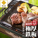 【ふるさと納税】【純国産極厚鉄板】まどか鉄板6号 60|純国産 黒皮鉄板 炉ばた 焼き器 焼肉 BBQ キャンプ ロゴ入り取手 300mm×356mm 厚さ6ミ...