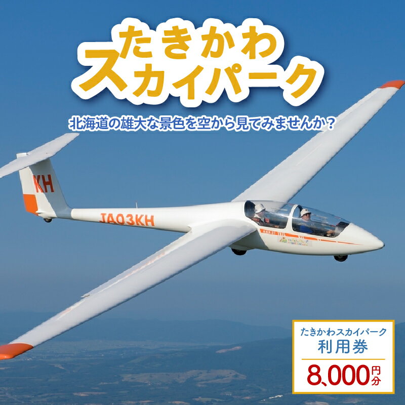 【ふるさと納税】たきかわスカイパーク利用券【8千円分】｜グライダー 体験飛行 飛行トレーニング アウトドア 滝川市航空動態博物館 利用券 5000円×1枚 1000円×3枚 北海道 滝川市