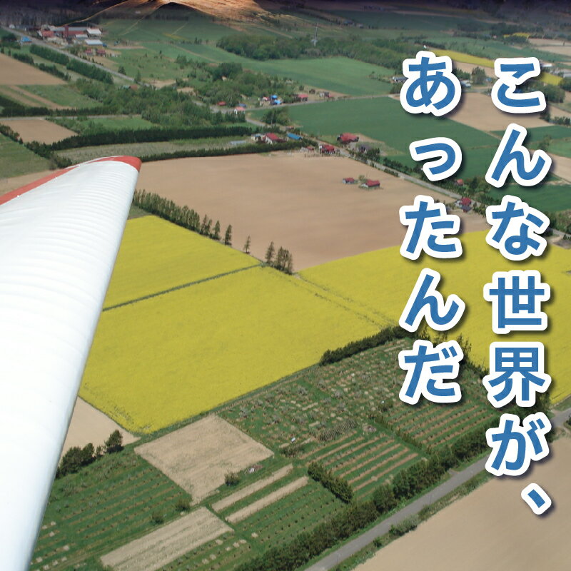 【ふるさと納税】グライダー体験飛行20分(山岳...の紹介画像3