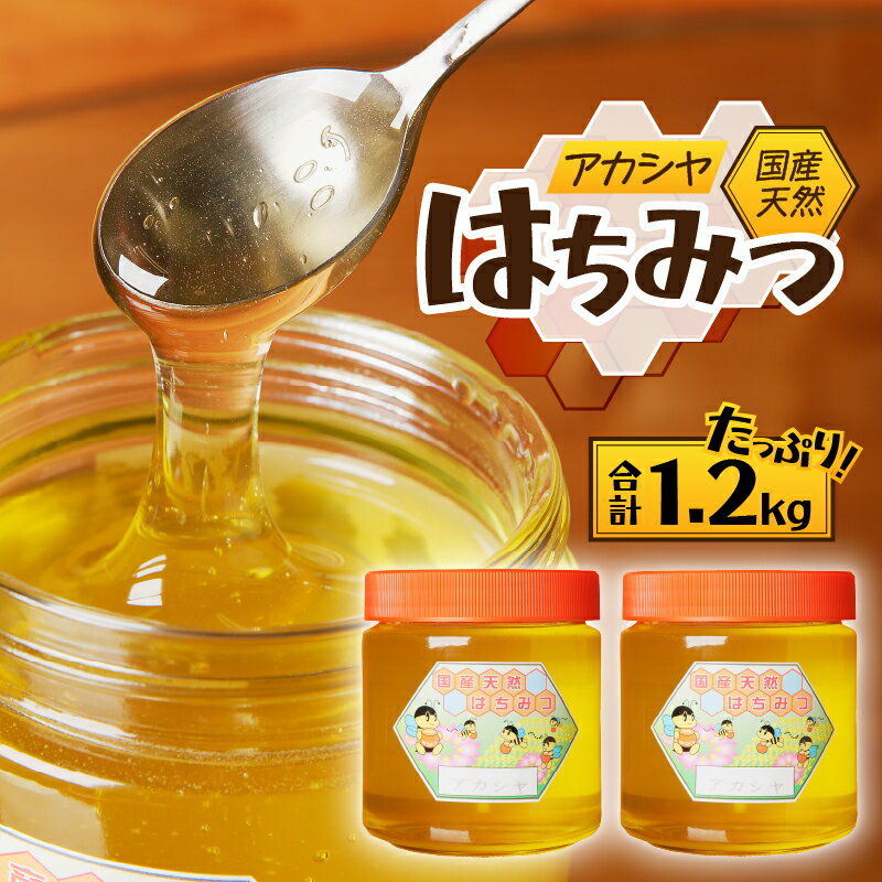 【ふるさと納税】2025年新蜜【北海道滝川産】高見養蜂場の純粋はちみつ(アカシヤ600g×2本)｜国産 日本製 天然 無添加 純粋 ミツバチ ハニー 栄養 健康 ビタミン ミネラル 抗生物質 プロポリス アミノ酸 濃厚 万能調味料 ギフト 贈答 滝川市