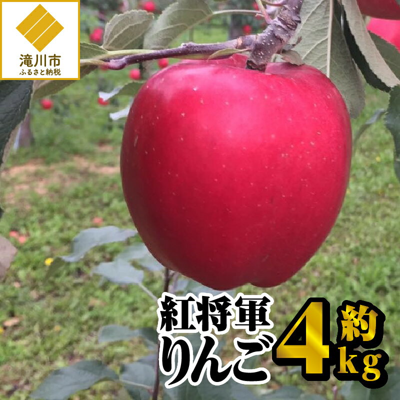 【ふるさと納税】【令和6年出荷受付】紅将軍りんご　約4kg｜先行予約 数量限定 りんご 林檎 フルー...