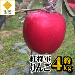 【ふるさと納税】【令和6年出荷受付】紅将軍りんご　約4kg｜先行予約 数量限定 りんご 林檎 フルーツ 果物 デザート 甘味酸味 ギフト 贈り物 北海道 滝川市