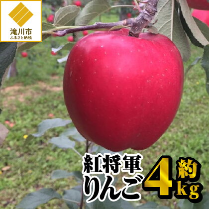 【令和6年出荷受付】紅将軍りんご　約4kg｜先行予約 数量限定 りんご 林檎 フルーツ 果物 デザート 甘味酸味 ギフト 贈り物 北海道 滝川市