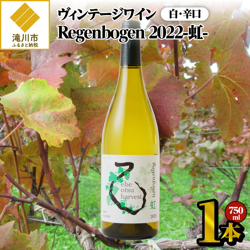 7位! 口コミ数「0件」評価「0」2022ヴィンテージワイン (白)750ml｜北海道 白ワイン ぶとう アルコール お酒 酒 辛口 醸造 良質 自家製栽培 7品種のブドウ ･･･ 