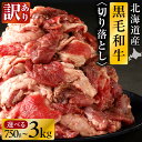 【ふるさと納税】<レビューキャンペーン>【訳あり】北海道産 黒毛和牛すじ切り落とし|北海道 国産 黒毛和牛 切り落とし 国産牛 お肉 牛肉 切落し 冷凍 小分け パック お取り寄せ 贅沢 おすすめ 送料無料 滝川市