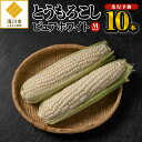 【令和6年予約】とうもろこし　ピュアホワイト　Mサイズ10本 【令和6年7月下旬〜順次出荷】 寒暖差のある滝川でつくられた幻のピュアホワイトは、たいへん甘く、上品な味とシャキシャキ感のある真っ白な光沢のあるとうもろこしです。 【配送時期】 令和6年7月下旬頃より順次お送りいたします。 【配送方法】 チルド便 【賞味期限】 冷蔵7日 【注意事項/その他】 ※画像はイメージです。 ※天候によりお届け時期が多少ずれる場合があります。 ※お届けにつきましてはメールにてご案内させて頂きます。 ※お申込限度数に達した場合は、予告なく締切日前にお申込みを締切る場合がございますので、あらかじめご了承ください。 ※沖縄、離島への出荷はできませんので予めご了承ください。 商品説明 　 名称 【令和6年予約】とうもろこし　ピュアホワイト　Mサイズ10本 　 内容量 ピュアホワイト（とうもろこし）　Mサイズ10本 　 賞味期限 冷蔵7日 　 配送 チルド便 令和6年7月下旬頃より順次お送りいたします。 　 提供事業者名 空知良品計画（北海道滝川市） ・ふるさと納税よくある質問はこちら ・寄附申込みのキャンセル、返礼品の変更・返品はできません。あらかじめご了承ください。