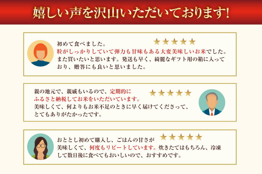 【ふるさと納税】 米 JA新すながわ産 ななつぼし 選べる 種類(通常米 / 特別栽培米)・内容量(5kg / 10kg)・回数(単発 / 6回 / 12回) [ホクレン商事 北海道 砂川市 12260898] お米 コメ 白米 ごはん ご飯 5キロ 10キロ 国産 特栽米 レビューキャンペーン
