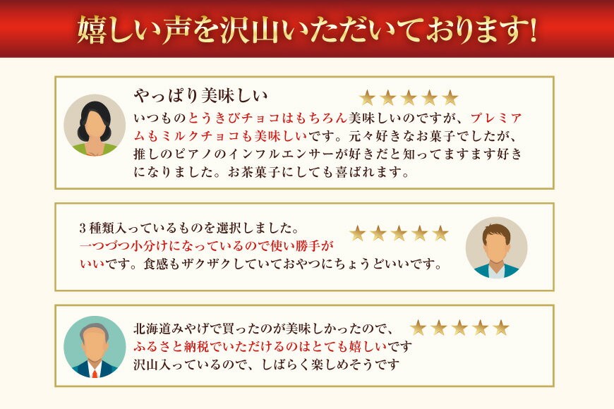 【ふるさと納税】 選べる種類 量 チョコレート とうきびチョコ 10本入 or 16本入 デラックス ハイミルク プレミアム [砂川ハイウェイオアシス観光 北海道 砂川市 12260826] チョコレート菓子 チョコ 菓子 お菓子 個包装 ばらまき スイーツ レビューキャンペーン