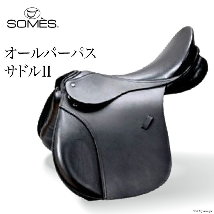 [Reiz] SOMES Reiz オールパーパスサドル2(ブラック) 革 革製品 鞍