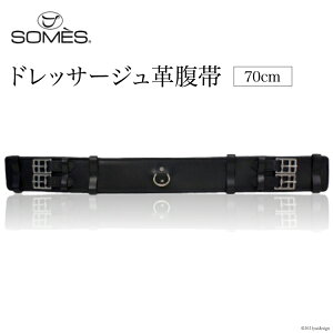 【ふるさと納税】[Reiz] SOMES Reiz ドレッサージュ革腹帯(70cm)（ブラック）